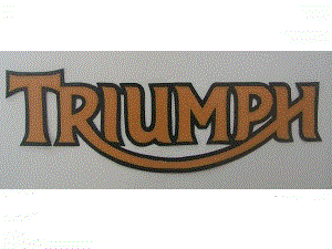 Hinckley Triumph 13 inch synthetic leather back patch gold/black